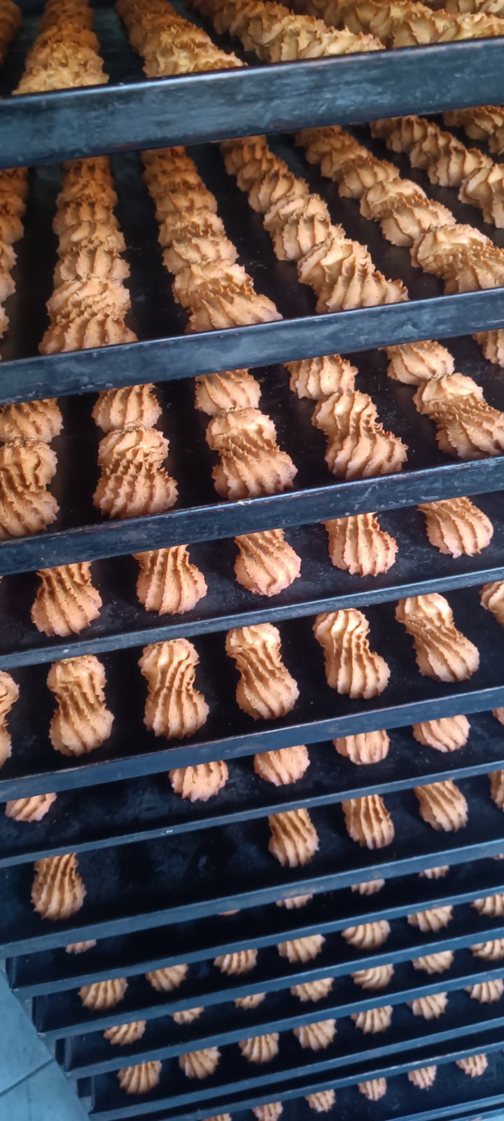 зображення_viber_2025-10-08_13-26-22-959 Главная